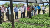 At the Innovative and Entrepreneurship Shade house program at Mon Repos.